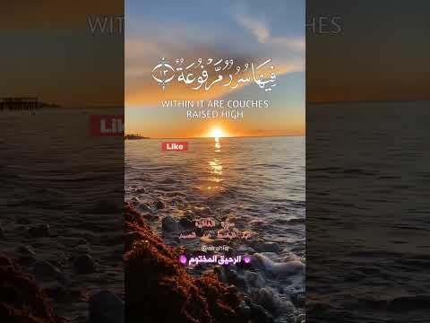 روائع عبد الباسط عبد الصمد لا تسمع فيها لاغية من سورة الغاشية