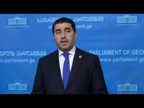 ნაცმოძრაობა და სააკაშვილი არ ყოფილა განხილვის საკითხი უკრაინაში - მთავარზე შევთანხმდით