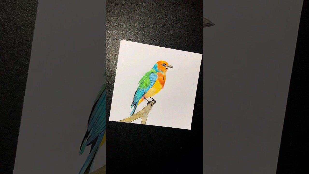 How to draw bird easy | Realistic bird drawing | #youtubeshorts