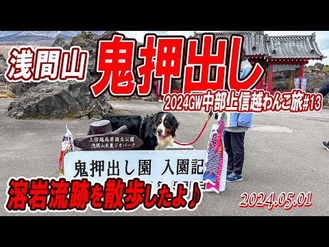 ゴツゴツの溶岩流跡、鬼押出しを見学、散歩したよ/中部上信越わんこ旅(その13)/2024GW#13/大型犬散歩