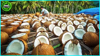 The Most Modern Agriculture Machines That Are At Another Level, How To Harvest Coconuts In Farm ▶3