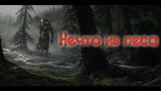 Нечто из леса / Фильм ужасов