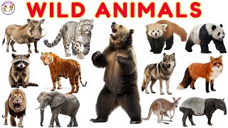 Animal Sounds for Kids 🐅 | 30 Wild Animals Learning Video
