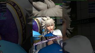 Combo Básico Meitenkun