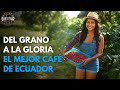 ¿Qué tiene el café ecuatoriano que conquista al mundo? | Luz del Sur