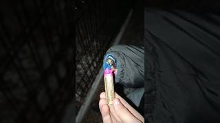 FP3 Big Original (0.8g) Jorge🔥💥 #fireworks #pyrotechnica #fypシ゚viral #pyro #experiment #firecracker