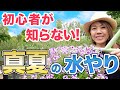 【枯らす原因第1‼】初心者が失敗しがちな真夏の水やり!園芸のプロが徹底解説します【初心者向け】【ガーデニング】【園芸チャンネル】