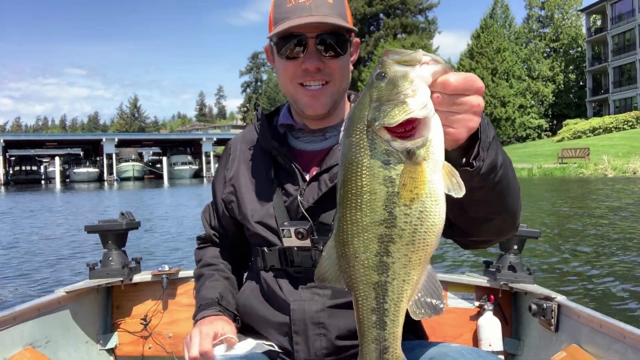 Lake Washington bass fishing 