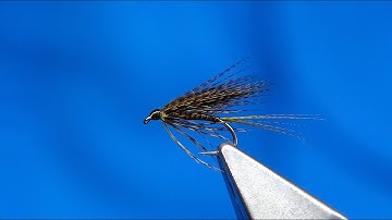 Tying a Mallard & Quill Wet Fly by Davie McPhail