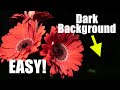 How to Get Dark Backgrounds in Close-Up Photography