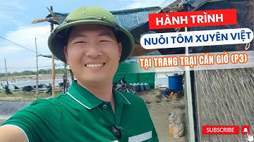 Công nghệ nuôi tôm tiên tiến tại Cần Giờ – Hành trình kết nối nuôi tôm xuyên Việt (P3)
