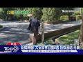 防蚊神器!大安森林公園8處「防蚊液站」可噴｜TVBS新聞 @TVBSNEWS01