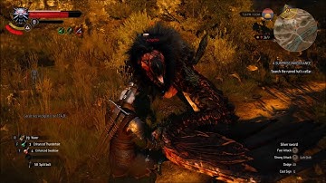 The Witcher 3: Wild Hunt | A Surprise Inheritance quest walkthrough gameplay