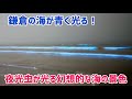 【天然の光のショー】鎌倉 材木座海岸　夜光虫が光る海の様子　2026年5月 Magical Blue Sea Caused by Noctiluca Scintillans in Kamakura