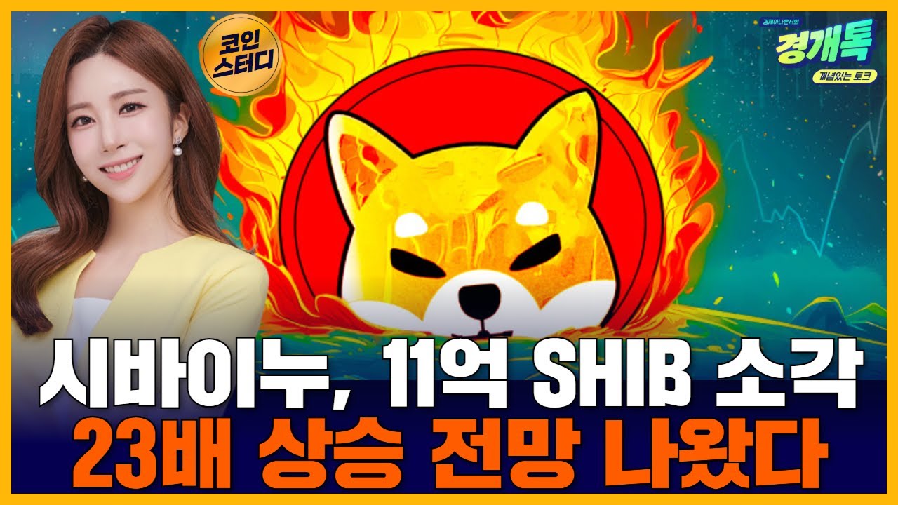 시바이누, 11억 SHIB 소각… 23배 상승 전망 나왔다ㅣ이소연의 코인스터디