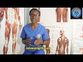 Why The Structural , Metabolism and Emotional Health?