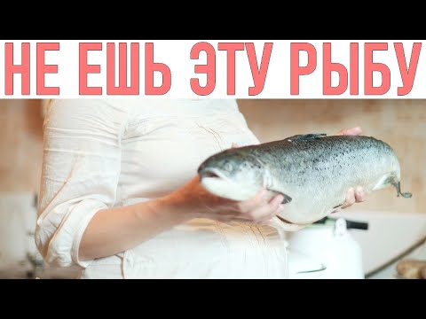 РЫБА ВО ВРЕМЯ БЕРЕМЕННОСТИ | Какую рыбу можно потреблять беременным