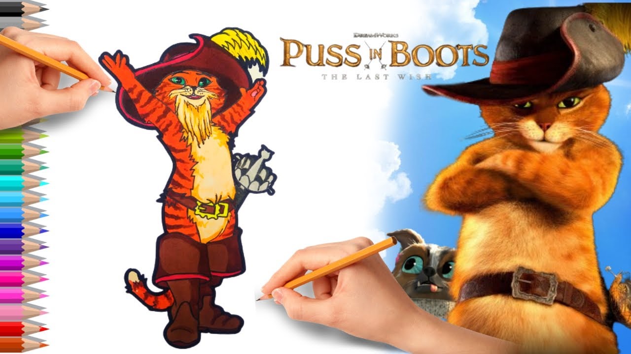 Puss In Boots The Last Wish Drawing Howtodraw Youtube 