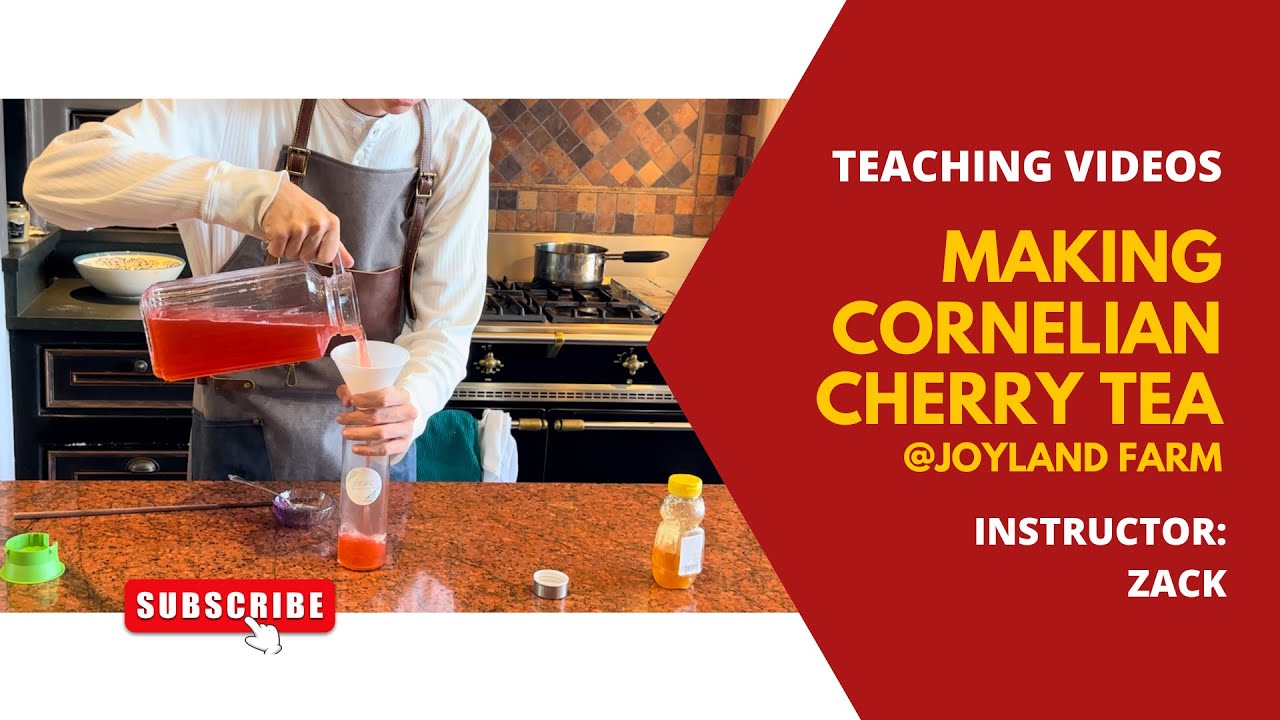 How To Make Cornelian Cherry Tea