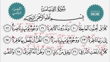 تعلم قراءة سورة القيامة مع شرح أحكام التجويد| الجزء الثاني