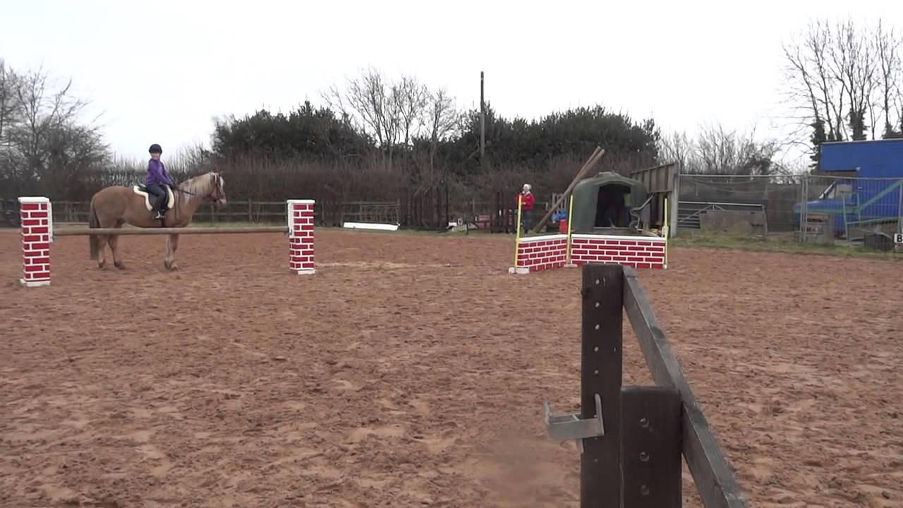 Funny Horse Jumping Fail YouTube