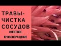 ТРАВЫ ДЛЯ ЧИСТКИ СОСУДОВ . УЛУЧШЕНИЕ МОЗГОВОГО КРОВООБРАЩЕНИЯ !