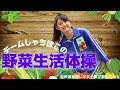 【両声類】女子声で チームしゃちほこの野菜生活体操 を歌ってみた【見習い】