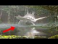 Mans camera caught a massive creature crawling into the lake