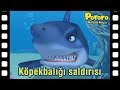 Köpekbalığı şaldırışı | Kısa film animasyon | Pororo türkçe | Pororo turkish