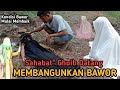 Masya allah sahabat ghoib datang menyadarkan bawor