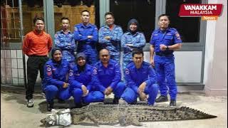 25/05/2024: Three-metre croc caught in drain at Kota Kinabalu