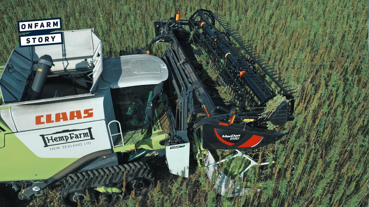 Farming Hemp in New Zealand | On Farm Story