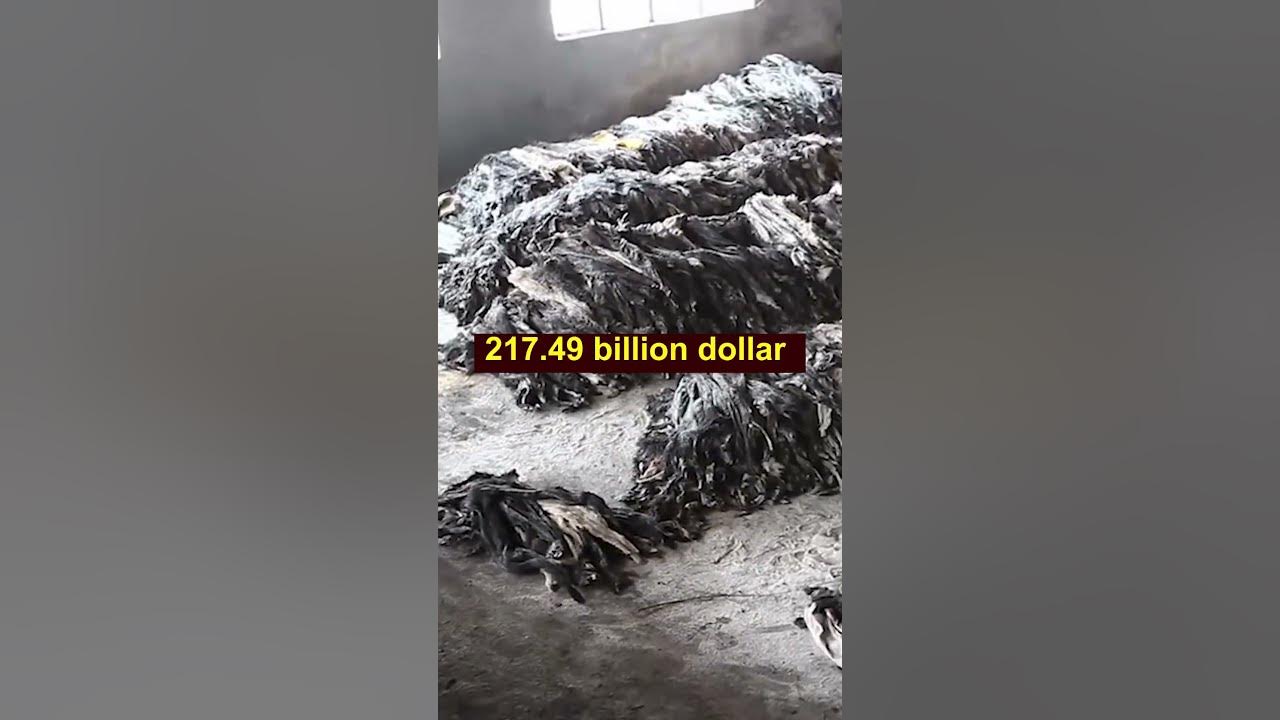 1 billion animals killed by leather industry every day YouTube