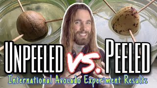 Should You Peel Your Avocado Seeds To Grow Them? International Avocado Experiment Results