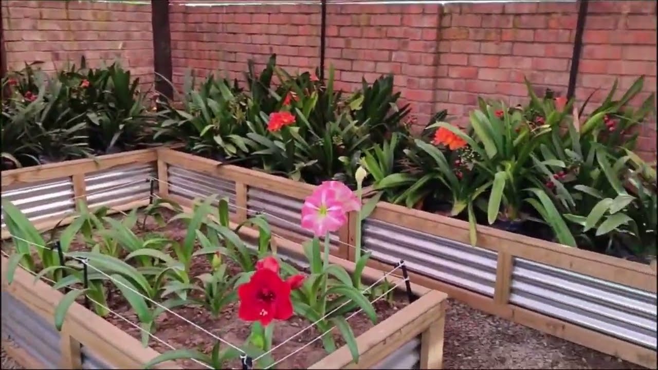 Raised Garden Beds Wood + Galvanise Oudtshoorn PHIve Store YouTube