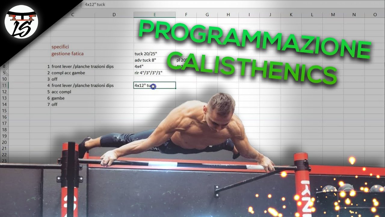 Programmazione Calisthenics