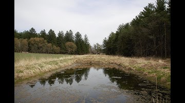 Constructed Wetlands as Green Infrastructure