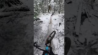 Winter Wonderland #bike #orbea
Winter Wonderland #bike #orbea Winter Wonderland #bike #orbea