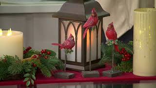 3-Piece Cardinals with Holly on Stands by Valerie on QVC