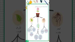 حل ورقة عمل الوحدة الرابعة علوم الصف الرابع الفصل الثاني #المنهاج_السوري_معلومة_وحل