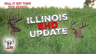 Are Deer Safe from EHD in Illinois Yet?