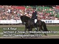 V1 a final section 2 wc icelandic horses islandpferdewm vm islandshstar 2015