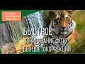 Быстрое тонирование фото на основе другой фотографии. Хитрости фотошопа