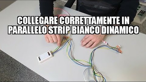 Collegare CORRETTAMENTE in parallelo strip LED BIANCO DINAMICO