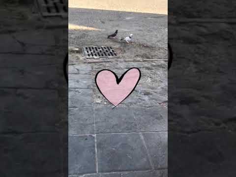 السواق يقول الشغاله بدويه ضحكنى صباح الخيرررر