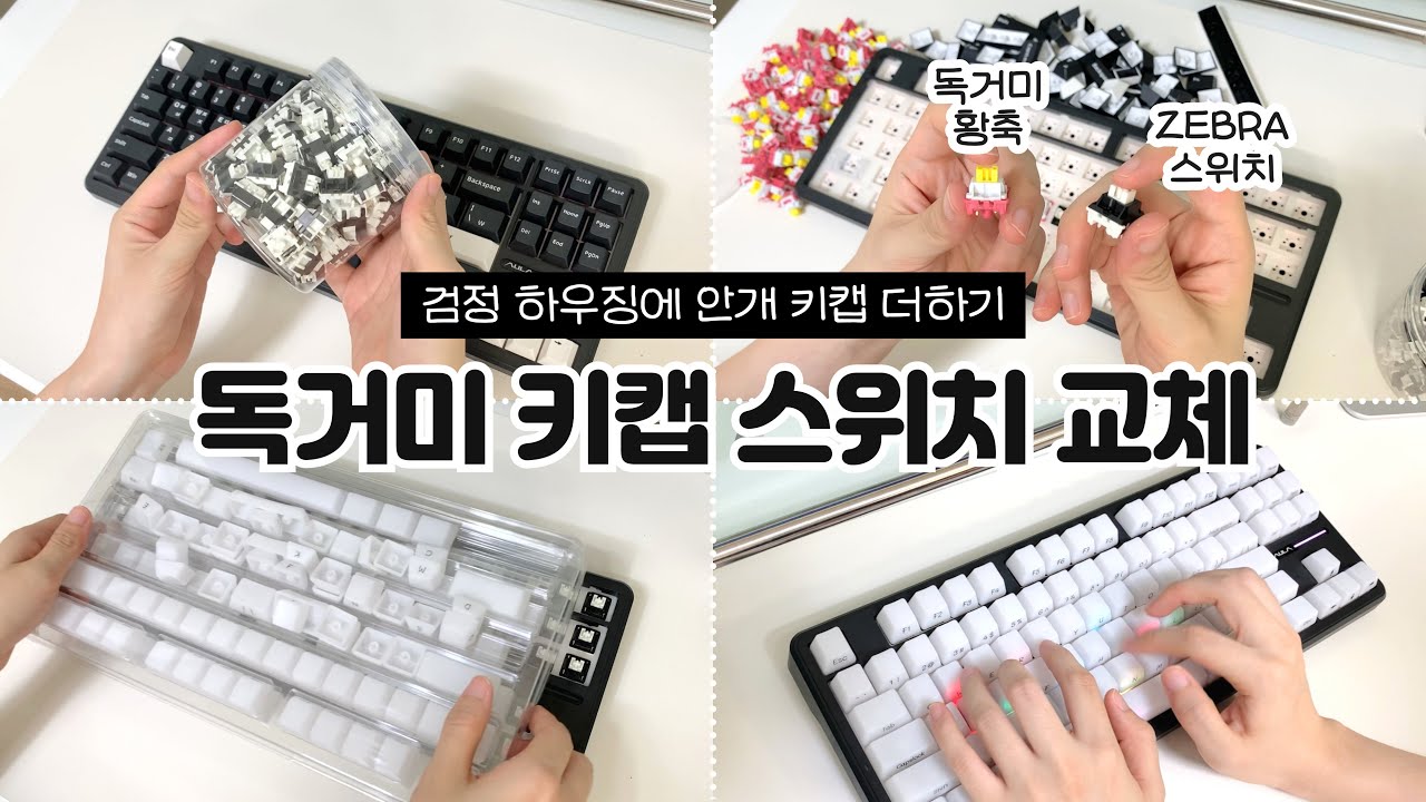 AULA F87 검정 하우징에 안개 키캡 더하기⌨ㅣ독거미 황축, 에포메이커 ZEBRA 스위치 비교👀ㅣ키보드 키캡, 스위치 교체🧐