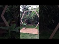 HEXAGON ARBOUR - QUICK LOOK