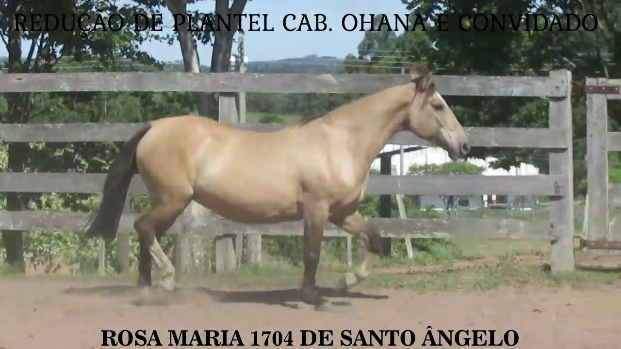 Cabanha Santo Ângelo