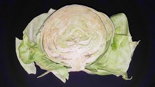 Cabbage going bad Time Lapse 4K - Red Cabbage - White Cabbage Comparison