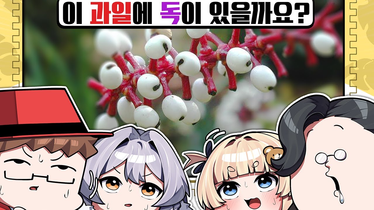 잘못 고르면 사망하는 돌아온 행운 테스트!!!